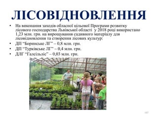 ЛІСОВІДНОВЛЕННЯ
• На виконання заходів обласної цільової Програми розвитку
лісового господарства Львівської області у 2018 році використано
1,23 млн. грн. на вирощування садивного матеріалу для
лісовідновлення та створення лісових культур:
• ДП “Боринське ЛГ” – 0,8 млн. грн.
• ДП “Турківське ЛГ” – 0,4 млн. грн.
• ДЛГ “Галсільліс” – 0,03 млн. грн.
107
 