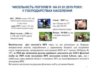 ВРХ – 20764 голови (+950 або
104,8% проти минулого року ),
в тому числі
корів 13075 голів (+134 або
101,0% проти минулого року
17
ЧИСЕЛЬНІСТЬ ПОГОЛІВ’Я НА 01.01.2019 РОКУ:
У ГОСПОДАРСТВАХ НАСЕЛЕННЯ
Свині - 8907 гол,
що є більше на 277
гол, або 103,2%
проти минулого року
Вівці та кози – 1208 гол.
(+148, або 114,0% проти
минулого року
Птиця – 99 850гол, що
є на рівні минулого
року
Відмічається ріст поголів’я ВРХ через те, що відповідно до Порядку
використання коштів, передбачених у державному бюджеті для підтримки
галузі тваринництва, затвердженого постановою КМУ від 7 лютого 2018року №
107, за 2018 рік місцевими радами прийнято документи від 2441-ї фізичної
особи на 3969 голів молодняка ВРХ загальною сумою 5,4млн. грн., що є
найбільше серед районів області і становить 94% до ідентифікованого поголів’я
молодняка ВРХ.
Всі кошти поступили на рахунки фізичних осіб в установи банків.
 