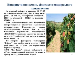 Використання земель сільськогосподарського
призначення
19
На території району є в наявності 44 591,05
га сільськогосподарських угідь, в тому числі:
ріллі – 21 768 га, багаторічних насаджень –
210,9 га, сіножатей – 5562,8 га, пасовищ –
17049,03 га.
Землі сільськогосподарського призначення
використовуються особистими селянськими
господарствами. Продовжується процес
загосподарювання земель. Так в селі
Комарники фермерським господарством
«ЕКОСВЕСТ» засаджено малину на ділянці 5
га, а у 2019 році планується засадити малину
ще на площі 7 га.
Новостворене фермерське господарство
“Буйвол” має наміри взяти в оренду у 2019
році понад 100 га землі для вирощування
кормових культур.
ТзОВ “Еко-Газда” планує побудувати в
с.Гусне тваринницький комплекс та взяти в
оренду землю для випасання худоби.
 