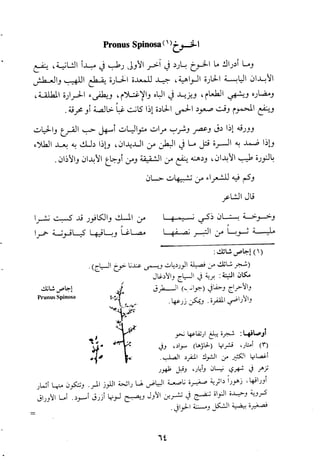 مقامات السيوطي الطبية