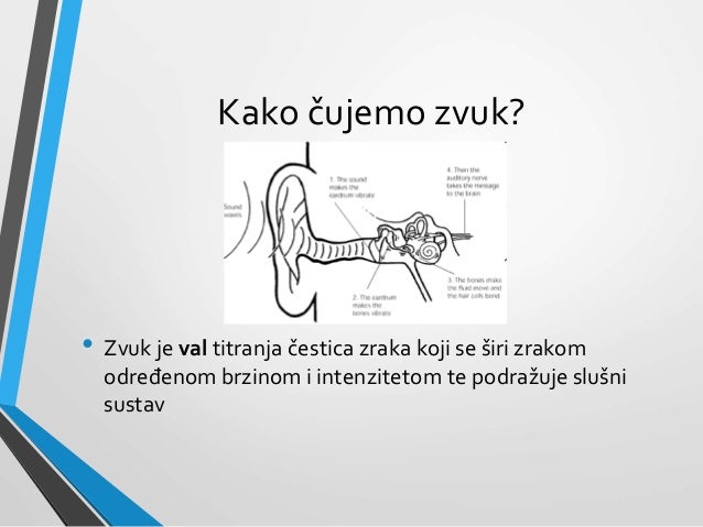 Zvuk