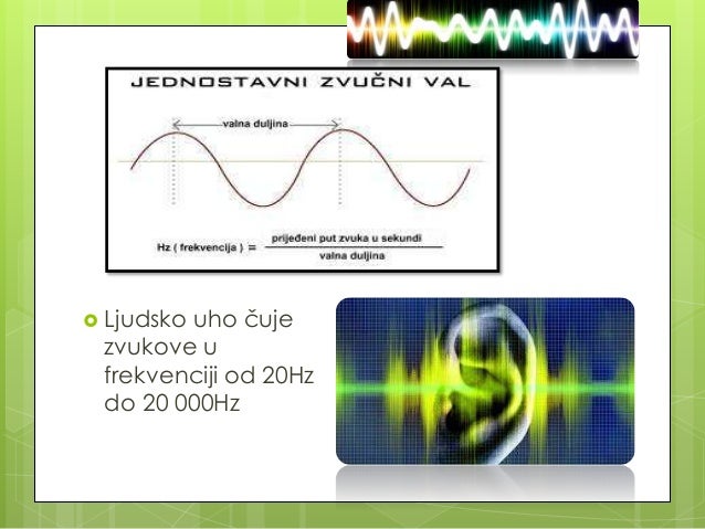 Zvuk