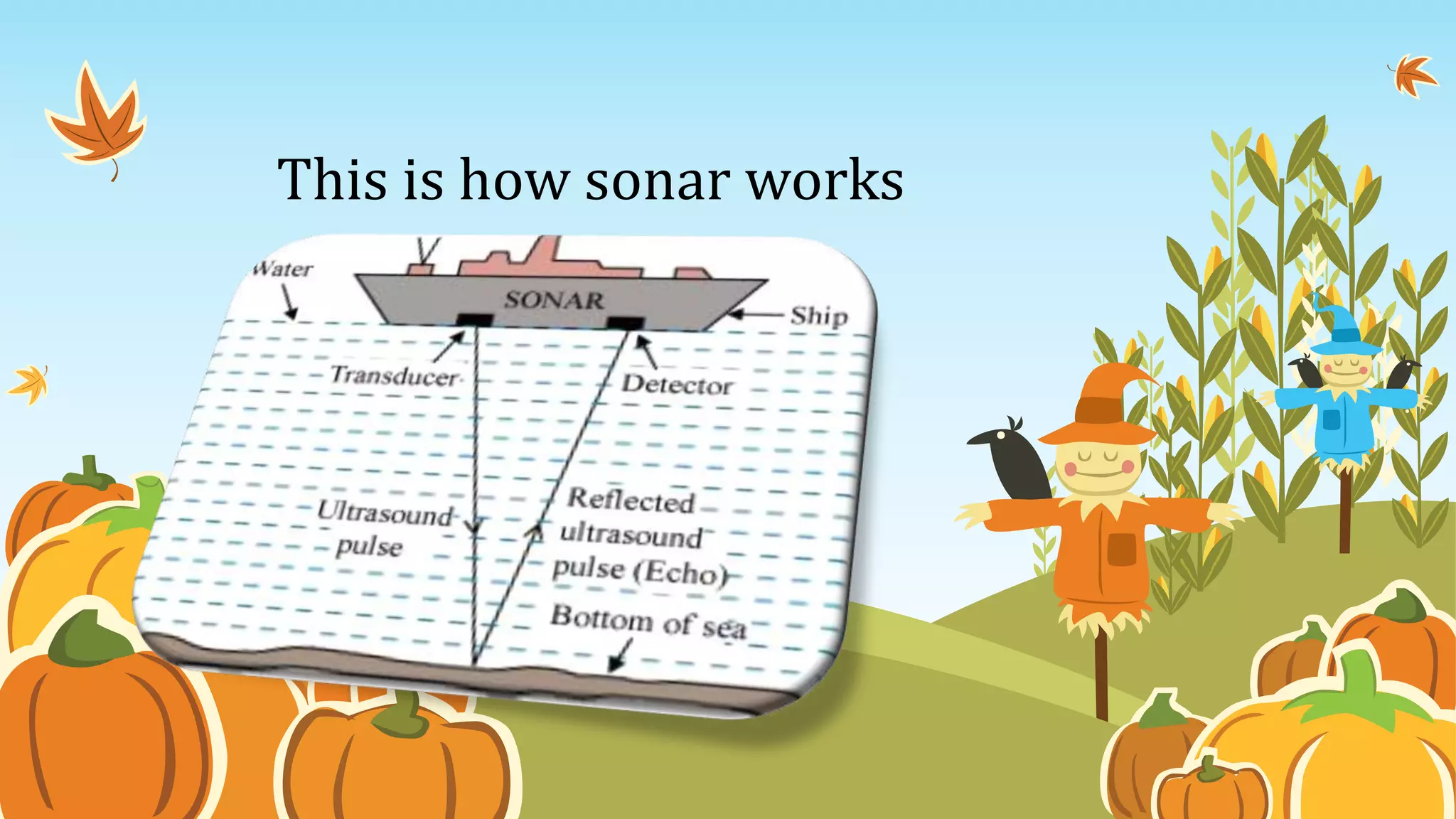 This is how sonar works
 