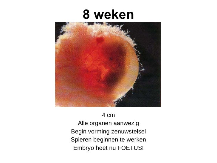 Zwangerschap Bevalling Kraam