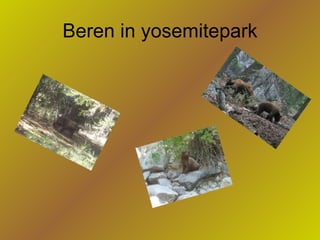 Beren in yosemitepark 