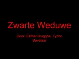 Zwarte Weduwe Door: Esther Brugghe, Tycho Bavelaar 