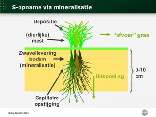 0-10
cmUitspoeling
“afvoer” gras
Depositie
(dierlijke)
mest
Zwavellevering
bodem
(mineralisatie)
Capillaire
opstijging
S-opname via mineralisatie
 