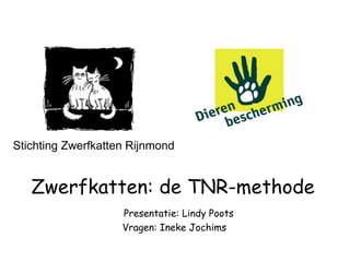 Stichting Zwerfkatten Rijnmond


   Zwerfkatten: de TNR-methode
                    Presentatie: Lindy Poots
                    Vragen: Ineke Jochims
 