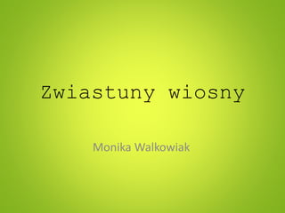 Zwiastuny wiosny
Monika Walkowiak
 