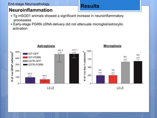 End-stage Neuropathology
Results
Neuroinflammation
• Tg mSOD1 animals showed a significant increase in neuroinflammatory
processess
• Early-stage PGRN cDNA delivery did not attenuate microglial/astrocytic
activation
Astrogliosis Microgliosis
 