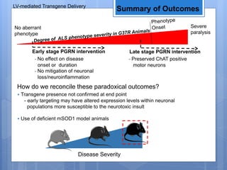 LV-mediated Transgene Delivery
Summary of Outcomes
How do we reconcile these paradoxical outcomes?
• Transgene presence not confirmed at end point
- early targeting may have altered expression levels within neuronal
populations more susceptible to the neurotoxic insult
• Use of deficient mSOD1 model animals
Disease Severity
No aberrant
phenotype
Severe
paralysis
Early stage PGRN intervention Late stage PGRN intervention
- No effect on disease
onset or duration
- No mitigation of neuronal
loss/neuroinflammation
- Preserved ChAT positive
motor neurons
 