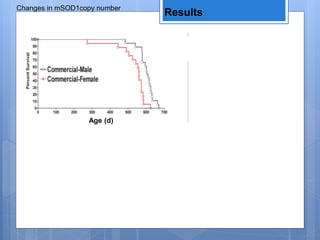 Changes in mSOD1copy number
Results
Age (d)
 