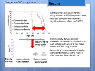 Changes in mSOD1copy number
Results
Age (d)
• G37R animals generated for this
study showed a 46% lifespan increase
• Intra-sex comparisons showed a
significant colony effect (p<0.0001)
• Intra-colony comparisons indicated a
significant difference in the relative
abundance of the mutant locus
• Commercially-derived animals
showed a more uniform distribution in
ΔCT values; with a near 3-fold reduc-
tion in mSOD1 copy number
*** ***
***** Near 3-fold
reduction
Colony
Source: Collaborator Commercial
 