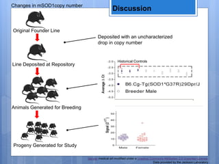 Discussion
Original Founder Line
Line Deposited at Repository
Animals Generated for Breeding
Progeny Generated for Study
Deposited with an uncharacterized
drop in copy number
Changes in mSOD1copy number
Data provided by the Jackson Laboratory
Servier medical art modified under a Creative Commons Attribution 3.0 Unported License.
Historical Controls
 