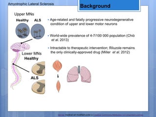Servier medical art modified under a Creative Commons Attribution 3.0 Unported License.
Amyotrophic Lateral Sclerosis
Background
• Age-related and fatally progressive neurodegenerative
condition of upper and lower motor neurons
• World-wide prevalence of 4-7/100 000 population (Chiò
et al. 2013)
• Intractable to therapeutic intervention; Riluzole remains
the only clinically-approved drug (Miller et al. 2012)
Healthy ALS
Upper MNs
Healthy
ALS
Lower MNs
 