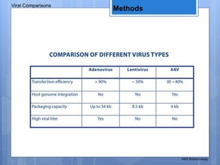 Methods
Viral Comparisons
AMS Biotechnology
 