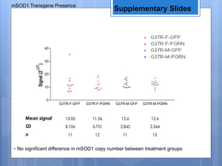 Supplementary Slides
• No significant difference in mSOD1 copy number between treatment groups
mSOD1 Transgene Presence
 