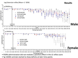 • PGRN administration did not mediate a positive effect in the LE reflex score
• Tg mSOD1 animals started to show deficits at later time points
9 10 11 12 13 18 18 19 21 23 57 61 64 65 67 69 71 73 75 78 79 81 83 86 87 89
Average Age (weeks)
25 27 29 31 33 35 37 40 41 43 45 47 49 51 53
Average Age (weeks)
Male
Female
ResultsLeg Extension reflex (Mean +/- SEM)
9 10 11 12 13 18 18 19 21 23 57 61 64 65 67 69 71 73 75 78 79 81 83 86 87 8925 27 29 31 33 35 37 40 41 43 45 47 49 51 53
 