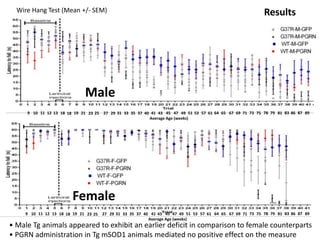 • Male Tg animals appeared to exhibit an earlier deficit in comparison to female counterparts
• PGRN administration in Tg mSOD1 animals mediated no positive effect on the measure
Results
9 10 11 12 13 18 18 19 21 23 57 61 64 65 67 69 71 73 75 78 79 81 83 86 87 89
Average Age (weeks)
25 27 29 31 33 35 37 40 41 43 45 47 49 51 53
9 10 11 12 13 18 18 19 21 23 57 61 64 65 67 69 71 73 75 78 79 81 83 86 87 89
Average Age (weeks)
25 27 29 31 33 35 37 40 41 43 45 47 49 51 53
Male
Female
Wire Hang Test (Mean +/- SEM)
 