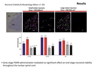 Neuronal Viability & Morphology (Mean +/- SD) Results
Small motor neurons:
Area = 130-240um2
VH
CC
Large motor neurons:
Area = 240-950 um2
• Early-stage PGRN administration mediated no significant effect on end-stage neuronal viability
throughout the lumbar spinal cord
 