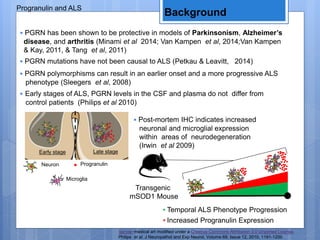 Progranulin and ALS
• PGRN mutations have not been causal to ALS (Petkau & Leavitt, 2014)
• PGRN polymorphisms can result in an earlier onset and a more progressive ALS
phenotype (Sleegers et al, 2008)
Background
▪ Temporal ALS Phenotype Progression
▪ Increased Progranulin Expression
Transgenic
mSOD1 Mouse
Servier medical art modified under a Creative Commons Attribution 3.0 Unported License.
• Early stages of ALS, PGRN levels in the CSF and plasma do not differ from
control patients (Philips et al 2010)
• Post-mortem IHC indicates increased
neuronal and microglial expression
within areas of neurodegeneration
(Irwin et al 2009)
Early stage Late stage
Neuron
Microglia
Progranulin
Philips et al. J Neuropathol and Exp Neurol, Volume 69, Issue 12, 2010, 1191-1200
• PGRN has been shown to be protective in models of Parkinsonism, Alzheimer’s
disease, and arthritis (Minami et al 2014; Van Kampen et al, 2014;Van Kampen
& Kay, 2011, & Tang et al, 2011)
 