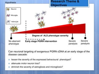 Hypothesis Research Theme &
Objectives
Degree of ALS phenotype severity
No aberrant
phenotype
Severe
paralysis
Neuron
Microglia
Astrocyte
Early stage PGRN intervention
Can neuronal targeting of exogenous PGRN cDNA at an early stage of the
disease cascade:
Severe
paralysis
 lessen the severity of the expressed behavioural phenotype?
 attenuate motor neuron loss?
 diminish the severity of astrogliosis and microgliosis?
 