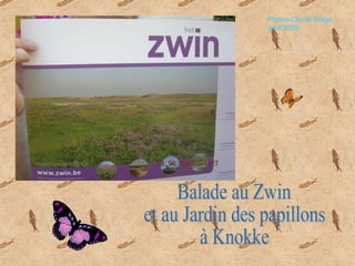Balade au Zwin  et au Jardin des papillons  à Knokke Photos Carine Stage, août 2009. 