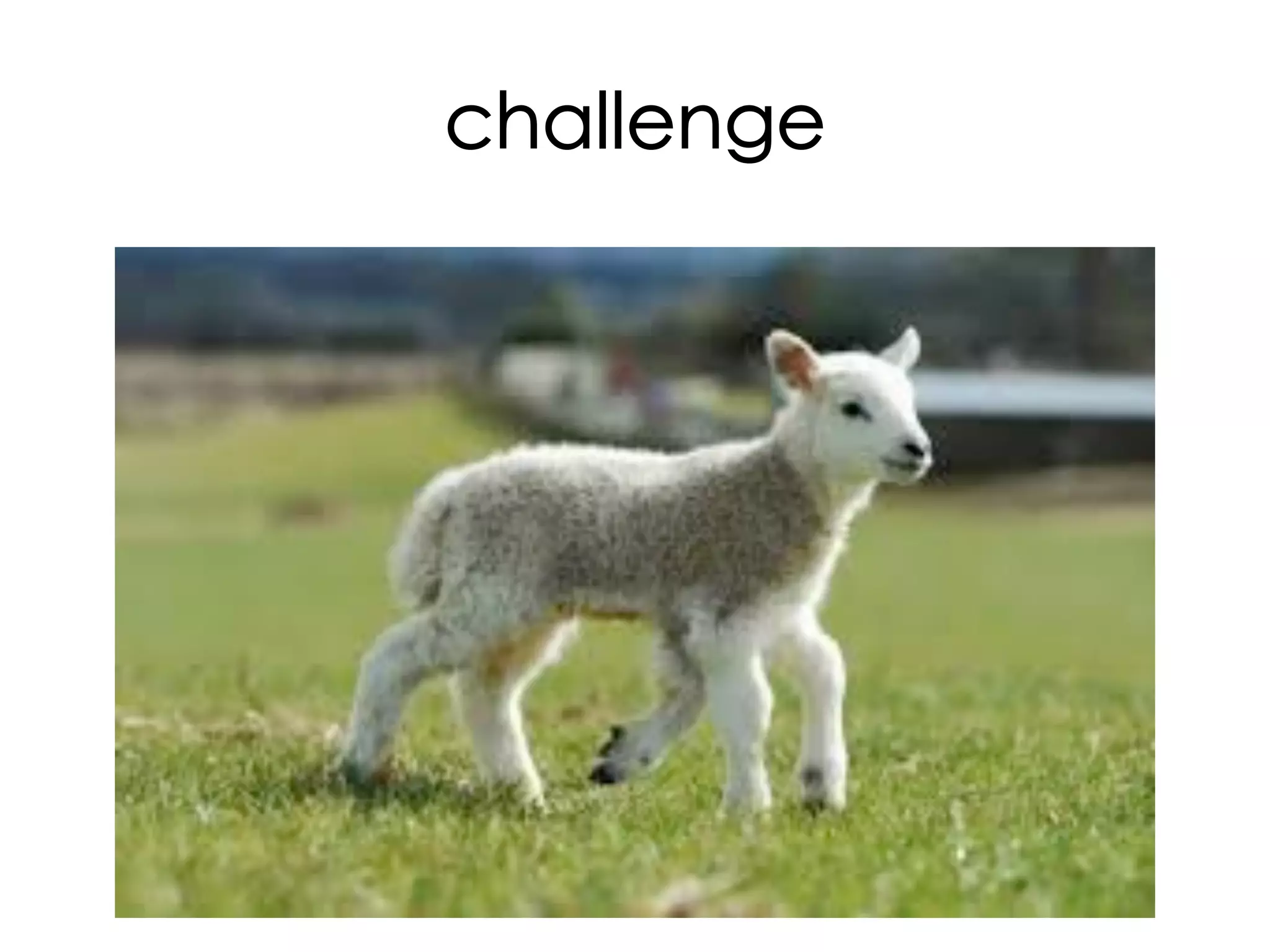 challenge	

 