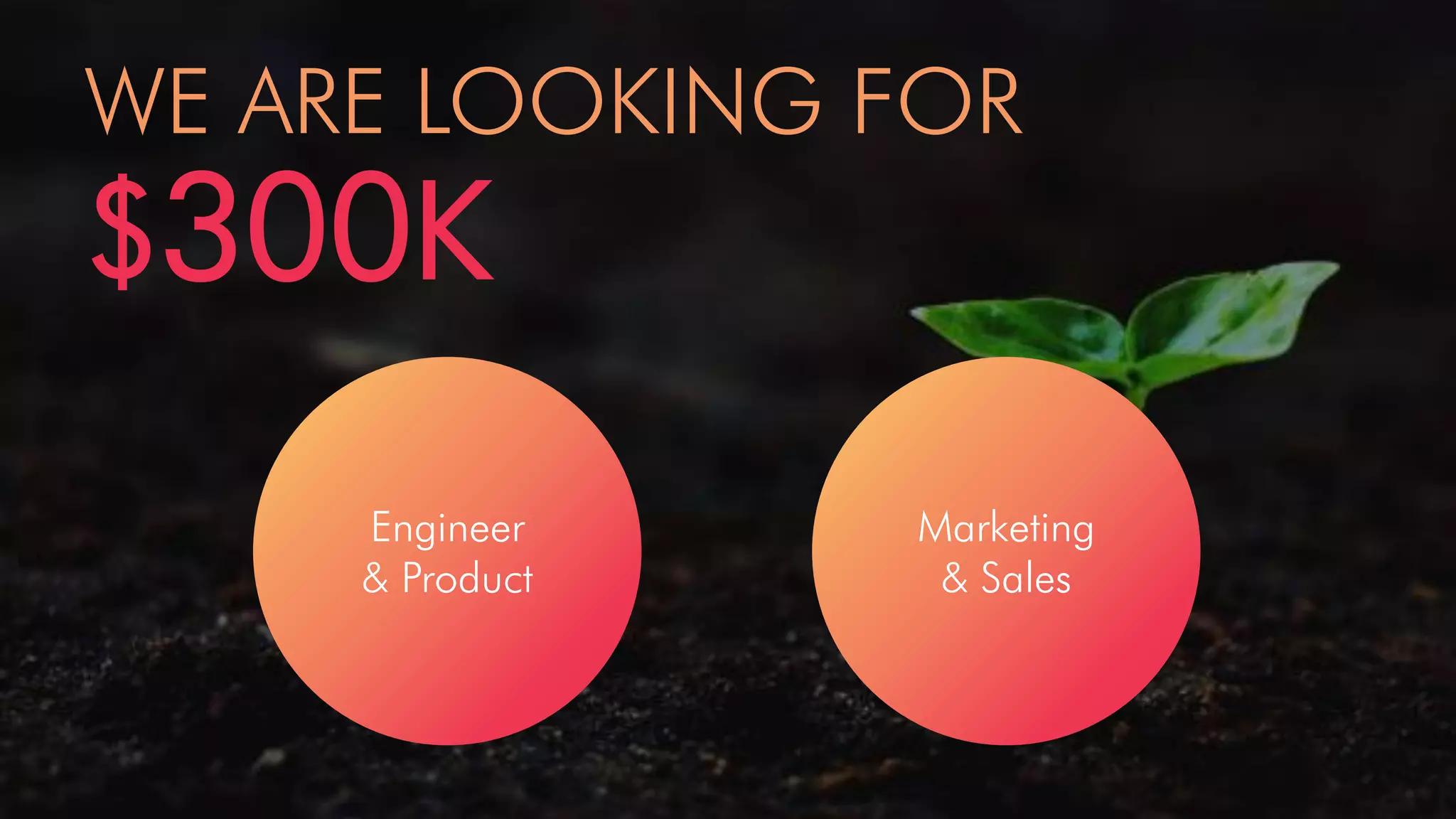 WE ARE LOOKING FOR
$300K
Engineer
& Product
Marketing
& Sales
