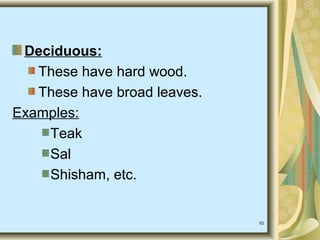 10
Deciduous:
These have hard wood.
These have broad leaves.
Examples:
Teak
Sal
Shisham, etc.
 