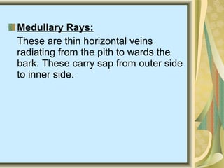 Medullary Rays:
These are thin horizontal veins
radiating from the pith to wards the
bark. These carry sap from outer side
to inner side.
 