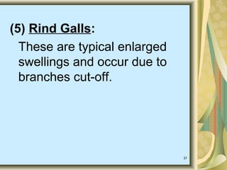 37
(5) Rind Galls:
These are typical enlarged
swellings and occur due to
branches cut-off.
 