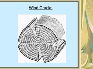 Wind Cracks
 