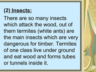(2) Insects:
There are so many insects
which attack the wood, out of
them termites (white ants) are
the main insects which are very
dangerous for timber. Termites
of one class live under ground
and eat wood and forms tubes
or tunnels inside it.
 