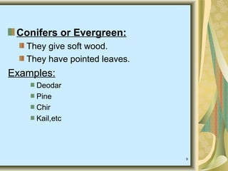 9
Conifers or Evergreen:
They give soft wood.
They have pointed leaves.
Examples:
Deodar
Pine
Chir
Kail,etc
 