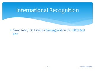  Since 2008, it is listed as Endangered on the IUCN Red
List
International Recognition
15 4/21/2018 4:49:46 AM
 