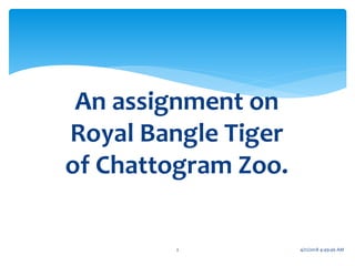 An assignment on
Royal Bangle Tiger
of Chattogram Zoo.
2 4/21/2018 4:49:46 AM
 