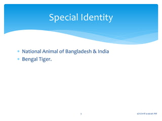  National Animal of Bangladesh & India
 Bengal Tiger.
Special Identity
3 4/21/2018 4:49:46 AM
 