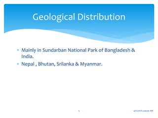  Mainly in Sundarban National Park of Bangladesh &
India.
 Nepal , Bhutan, Srilanka & Myanmar.
Geological Distribution
5 4/21/2018 4:49:46 AM
 