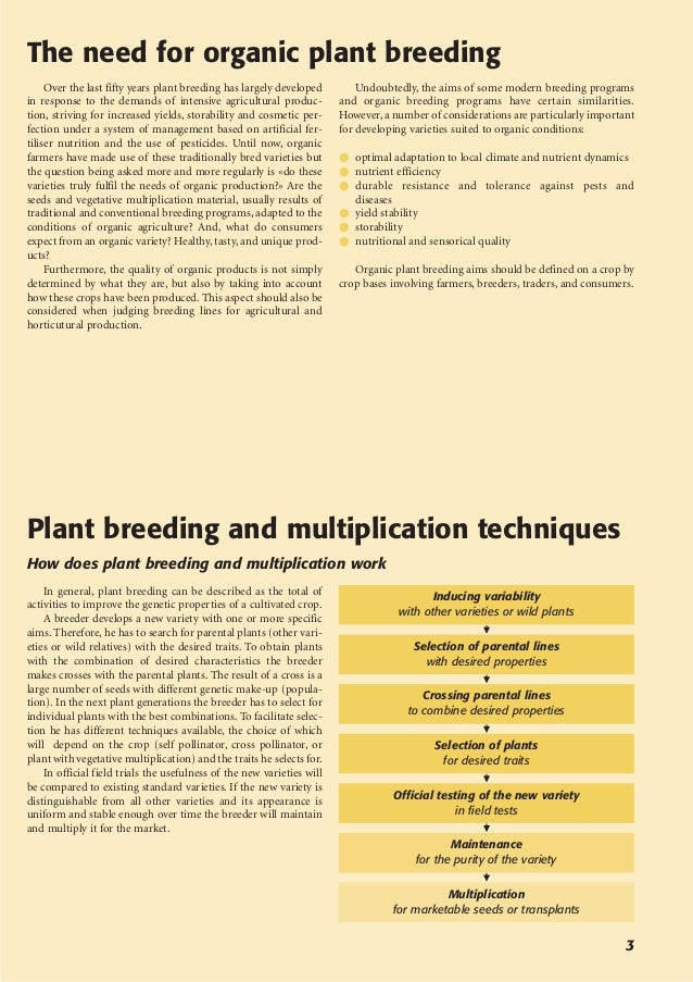 Organic Plant Breeding Techniques