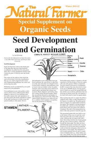 B-Special 
Supplement on 
Organic Seeds 
Winter, 2011-12 
Seed Development 
and Germination by Jack Kittredge 
Sources for this information include theseedsite. 
co.uk, Ohio State University, and Oregon State 
University 
Seed Development 
Seeds develop from ovules in the female part 
of the plant after they have been fertilized, 
or pollinated, by pollen from the male parent 
plant. This is sexual reproduction and the seeds 
contain the genes of both the male and female 
parents. 
The ovules are the embryos from which the 
seed will develop. At the time of pollination, 
they are very small compared to the mature 
seed. Without being pollinated, the ovules will 
not develop into seeds. 
Pollination can be accomplished by cross-polli-nation 
or by self-pollination. 
Cross-pollination occurs when pollen is deliv-ered 
to a flower from a different plant. Plants 
adapted to outcross or cross-pollinate often 
have taller stamens (the male reproductive or-gan) 
than pistils (the female reproductive organ) 
or use other mechanisms to better ensure the 
spread of pollen to other plants’ flowers. 
Self-pollination occurs when pollen from one 
flower pollinates the same flower or other flow-ers 
of the same individual. It is thought to have 
evolved under conditions when pollinators such 
as insects were not reliable vectors for pollen 
transport, and is most often seen in short-lived 
annual species and plants that colonize new 
locations. Plants adapted to self-fertilize often 
have similar stamen and pistil lengths. Plants 
that can pollinate themselves and produce vi-able 
offspring are called self-fertile. Plants that 
cannot fertilize themselves are called self-ster-ile, 
a condition which mandates cross pollina-tion 
for the production of offspring 
Each pollen grain contains a vegetative cell and 
a generative cell that divides to form two sperm 
cells: the male gametes. Pollen is transferred 
from the stamen by the process of pollination. 
In 80% or more of the cases this involves trans-fer 
by one of 200,000 species of living agents, 
most of which are insects but include birds and 
bats. Of the cases of abiotic pollination (that not 
involving an animal vector) the vast majority is 
by wind, with some by water for aquatic plants. 
Once reaching the pistil, or carpel, the pollen is 
caught by hairs, flaps, or other obstructions in 
the stigma, or receptive tip. The pollen germi-nates 
in response to a sugary fluid secreted by 
the stigma. The vegetative cell then produces 
the pollen tube, a protrusion from the pollen 
grain which carries the sperm cells within its 
cytoplasm. This tube is the transportation me-dium 
of the male gamete to reach the egg cell. 
The germinated pollen tube must drill its way 
to the bottom of the ovary to reach the ovule. 
Once the pollen tube successfully attains an 
ovule, it delivers the two sperm cells with a 
burst. One of them fertilizes the female gamete 
(the egg cell) to form an embryo, which will 
become the future plant. The other one fuses 
with both polar nuclei (created in the ovary by 
the process of cell division which created the 
ovule) to form the endosperm, which serves as 
the embryo’s food supply. The endosperm is 
rich in starch, proteins and oils and is a major 
source of human food (e.g., wheat, barley, rye, 
oats, corn). Finally, the ovary will develop into 
a fruit and the ovules will develop into seeds. 
 