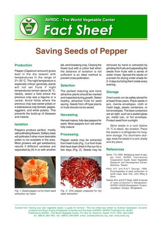 Saving Seeds of Pepper 
Production 
Pepper (Capsicum annuum) grows 
best in the dry season with 
temperatures in the range of 
21–33 °C. The night temperature is 
especially critical; generally, plants 
will not set fruits if night 
temperatures remain above 30 °C. 
Ideally, select a field where the 
previous crop was a legume or a 
cereal. Avoid fields where the 
previous crop was sweet potato or 
a solanaceous crop (tomato, pepper, 
eggplant, and white potato). This 
prevents the build-up of diseases 
and insects. 
Isolation 
Peppers produce perfect, mostly 
self-pollinating flowers. Solitary bees 
will pollinate if other more desirable 
pollen is not available in the area. 
Most growers will get satisfactory 
results if different varieties are 
separated by 20 m or with another 
tall, wind breaking crop. Closing the 
flower bud with a cotton ball when 
the distance of isolation is not 
sufficient is an ideal method to 
prevent cross-pollination. 
Selection 
The earliest maturing and more 
attractive plants should be marked 
and inspected during growth. Select 
healthy, attractive fruits for seed 
saving. Seeds from off-type plants 
or fruits should not be saved. 
Harvesting 
Harvest mature, fully-ripe peppers for 
seed. Most peppers turn red when 
fully mature. 
Processing 
Pepper seeds may be extracted 
from fresh fruits (Fig. 1) or from fruits 
that have been dried in the sun for a 
few days (Fig. 2). Seeds may be 
Fig. 1. Sweet pepper cut for fresh seed 
extraction by hand 
Fig. 2. Chili pepper prepared for dry 
seed extraction 
removed by hand or extracted by 
grinding the fruits and separating the 
seeds from fruits with a series of 
water rinses. Spread the seeds on 
a screen for drying under shade for 
2–3 days but bring them inside every 
evening. 
Storage 
Dried seeds can be safely stored for 
at least three years. Place seeds in 
jars, manila envelopes, cloth or 
mesh bags, plastic containers, or 
foil envelopes. The best containers 
are air-tight, such as a sealed glass 
jar, metal can, or foil envelope. 
Protect seed from sunlight. 
Store seeds in a cool (below 
15 °C is ideal), dry location. Place 
the seeds in a refrigerator for long-term 
storage. For short-term stor-age, 
keep the seeds in a cool, shady 
and dry place. 
References 
Berke, T.G. 2000. Multiplying seed of pep-per 
lines. AVRDC International 
Cooperators’ Guide. Asian Vegetable 
Research and Development Center, 
Shanhua, Taiwan. 
Kelly, A.F. and R.A.T. George. 1998. 
Encyclopaedia of seed production of 
world crops. New York: John Wiley & 
Sons. 
Rashid, M.A. and D.P. Singh. 2000. A manual 
of seed production in Bangladesh. 
AVRDC-USAID-Bangladesh Project. 
Joydebpur, Gazipur, Bangladesh. 
Excerpt from “Saving your own vegetable seeds—a guide for farmers”. This fact sheet was written by Sutevee Sukprakarn, Sunanta 
Juntakool and Rukui Huang of Katsesart University and Tom Kalb of AVRDC. AVRDC Publication No. 06-667. 
Published by AVRDC—The World Vegetable Center; P.O. Box 42, Shanhua; Taiwan 74151; ROC. April 2006. 
tel: (886-6) 583-7801; fax: (886-6) 583-0009; email: avrdcbox@avrdc.org; web: www.avrdc.org 
