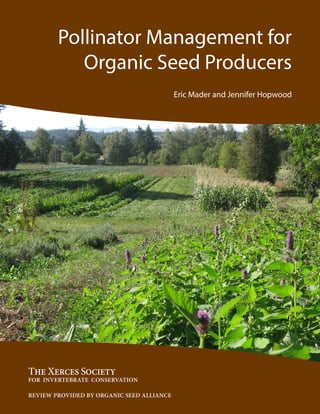 Pollinator Management for
Organic Seed Producers
Eric Mader and Jennifer Hopwood
The Xerces Society
FOR INVERTEBRATE CONSERVATION
REVIEW PROVIDED BY ORGANIC SEED ALLIANCE
 