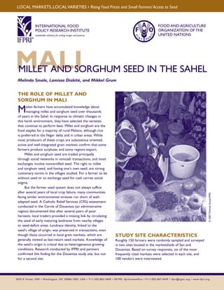 LOCAL MARKETS, LOCAL VARIETIES • Rising Food Prices and Small Farmers’ Access to Seed 
INTERNATIONAL FOOD 
POLICY RESEARCH INSTITUTE 
sustainable solutions for ending hunger and poverty 
Supported by the CGIAR 
FOOD AND AGRICULTURE 
ORGANIZATION OF THE 
UNITED NATIONS 
MMILLEAT ANLD ISORGHUM SEED IN THE SAHEL 
Melinda Smale, Lamissa Diakité, and Mikkel Grum © 2007 Melinda Smale/IFPRI 
THE ROLE OF MILLET AND 
SORGHUM IN MALI 
Malian farmers have accumulated knowledge about 
managing millet and sorghum seed over thousands 
of years in the Sahel. In response to climatic changes in 
this harsh environment, they have selected the varieties 
that continue to perform best. Millet and sorghum are the 
food staples for a majority of rural Malians, although rice 
is preferred in the Niger delta and in urban areas. While 
most producers of these crops are subsistence oriented, 
active and well-integrated grain markets confirm that some 
farmers produce surpluses and some regions export. 
Millet and sorghum seed are traded principally 
through social networks in noncash transactions, and most 
exchanges involve noncertified seed. The right to millet 
and sorghum seed, and having one’s own seed, are strong 
customary norms in the villages studied. For a farmer to be 
without seed or to exchange seed for cash carries social 
stigma. 
But the farmer seed system does not always suffice: 
after several years of local crop failure, many communities 
facing similar environmental stresses run short of well-adapted 
seed. A Catholic Relief Services (CRS) assessment 
conducted in the Cercle of Douentza (an administrative 
region) documented that after several years of poor 
harvests, local traders provided a missing link by circulating 
the seed of early maturing landraces from nearby villages 
to seed-deficit areas. Landrace identity, linked to the 
seed’s village of origin, was preserved in transactions, even 
though these occurred in local grain markets, which are 
generally viewed as last-resort seed markets. Knowledge of 
the seed’s origin is critical due to heterogeneous growing 
conditions. Research conducted by IFPRI and partners 
confirmed this finding for the Douentza study site, but not 
for a second site. 
STUDY SITE CHARACTERISTICS 
Roughly 150 farmers were randomly sampled and surveyed 
in two sites located in the marketsheds of San and 
Douentza. Based on survey responses, six of the most 
frequently cited markets were selected in each site, and 
100 vendors were interviewed. 
2033 K Street, NW • Washington, DC 20006-1002, USA • T+1-202-862-5600 • SKYPE: ifprihomeoffice • F + 1-202-467-4439 • ifpri@cgiar.org • www.ifpri.org 
 