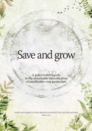 Save and grow 
A policymaker’s guide 
to the sustainable intensification 
of smallholder crop production 
FOOD AND AGRICULTURE ORGANIZATION OF THE UNITED NATIONS 
Rome, 2011 
 