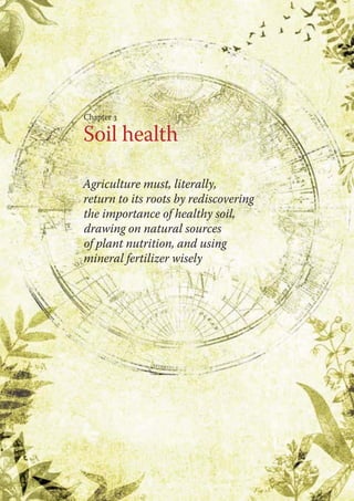 Chapter 3 
Soil health 
Agriculture must, literally, 
return to its roots by rediscovering 
the importance of healthy soil, 
drawing on natural sources 
of plant nutrition, and using 
mineral fertilizer wisely 
 