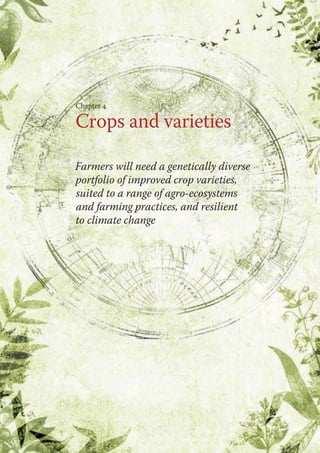 Chapter 4 
Crops and varieties 
Farmers will need a genetically diverse 
portfolio of improved crop varieties, 
suited to a range of agro-ecosystems 
and farming practices, and resilient 
to climate change 
 