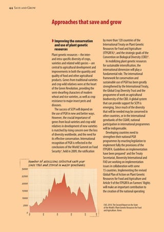 44 Save and Grow 
Approaches that save and grow 
 Improving the conservation 
and use of plant genetic 
resources 
Plant genetic resources – the inter-and 
intra-specific diversity of crops, 
varieties and related wild species – are 
central to agricultural development and 
improvements in both the quantity and 
quality of food and other agricultural 
products. Genes from traditional varieties 
and crop wild relatives were at the heart 
of the Green Revolution, providing the 
semi-dwarfing characters of modern 
wheat and rice varieties, as well as crop 
resistance to major insect pests and 
diseases. 
The success of SCPI will depend on 
the use of PGR in new and better ways. 
However, the crucial importance of 
genes from local varieties and crop wild 
relatives in development of new varieties 
is matched by rising concern over the loss 
of diversity worldwide, and the need for 
its effective conservation. International 
recognition of PGR is reflected in the 
conclusions of the World Summit on Food 
Security4, held in 2009, the ratification 
30000 
25000 
20000 
15000 
10000 
5000 
0 
Number of accessions collected each year 
since 1960 and stored in major genebanks 
by more than 120 countries of the 
International Treaty on Plant Genetic 
Resources for Food and Agriculture 
(ITPGRFA)5, and the strategic goals of the 
Convention on Biological Diversity (CBD)6. 
In mobilizing plant genetic resources 
for sustainable intensification, the 
international dimension will play a 
fundamental role. The international 
framework for conservation and 
sustainable use of PGR has been greatly 
strengthened by the International Treaty, 
the Global Crop Diversity Trust and the 
programme of work on agricultural 
biodiversity of the CBD. A global system 
that can provide support for SCPI is 
emerging. Since much of the diversity 
that will be needed may be conserved in 
other countries, or in the international 
genebanks of the CGIAR, national 
participation in international programmes 
will be indispensable. 
Developing countries need to 
strengthen their national PGR 
programmes by enacting legislation to 
implement fully the provisions of the 
ITPGRFA. Guidelines on implementation 
have been prepared7 and the Treaty 
Secretariat, Bioversity International and 
FAO are working on implementation 
issues in collaboration with some 
15 countries. Implementing the revised 
Global Plan of Action on Plant Genetic 
Resources for Food and Agriculture and 
Article 9 of the ITPGRFA on Farmers’ Rights 
will make an important contribution to 
the creation of the national operating 
FAO. 2010. The Second Report on the State 
of the World’s Plant Genetic Resources for Food 
and Agriculture. Rome. 
 