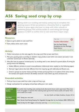 1 
A56 Saving seed crop by crop 
Saving seed is an exciting and money saving way to complete the growing season. It lets you preserve a favourite fruit or vegetable variety to grow again next year or swap with other schools or gardening groups. This activity builds on seed saving and storage guidance in G4.5 to outline how to save seed from major crops. 
Health & Safety 
Be careful when handling seed, washing hands afterwards. Ensure adult supervision. Wear dust mask and goggles if required when cleaning seed, eg dust from lettuce seeds and ‘spines’ from carrot seeds can irritate. 
See also Health and Safety Guidelines (Section SG1.2) 
Further information 
G4.5 Saving your own seed 
‘Back Garden Seed Saving: Keeping Our Vegetable Heritage Alive’ by Sue Stickland. ISBN 1899233156 
Seedy Sunday, the UK’s biggest community seed swap www.seedysunday.org 
Resources 
• Space to grow plants to save seed from 
• Sieve, stakes, twine, warm room 
Activity 
1 Follow instructions on the next page for the crops you’d like to save seed from. 
2 Plan your growing space according to whether crops produce seed within one season (annual) or wait until their second year to flower (biennial). 
3 Also plan how to preserve ‘varietal purity’ so resulting seed is near identical to parent plants. If aiming for purity, ensure the following. 
a Isolate different varieties to avoid cross-pollination (referenced when needed on the following pages). 
b Remove ‘rogue’ plants that look different from the majority, eg with odd-coloured flowers, etc. 
c Grow in groups to counter losses and help maintain purity, eg three to six plants of the same variety for tomato and squash; minimum 20 (ideally more) for most others, eg onion, brassicas, etc. 
Extended activities 
1 Find out how to save seed from other crops and have a go. 
2 Design seed packets for packaging and perhaps selling your own seeds. 
Top tip 
Further information 
See the Seed Saving Guidelines by the Heritage Seed Library. 
www.gardenorganic.org.uk/hslJ  