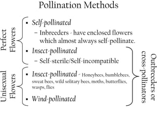 Pollination Methods 
ƒ Self-pollinated 
– Inbreeders - have enclosed flowers 
which almost always self-pollinate. 
ƒ Insect-pollinated 
– Self-sterile/Self-incompatible 
ƒ Insect-pollinated - Honeybees, bumblebees, 
sweat bees, wild solitary bees, moths, butterflies, 
wasps, flies 
ƒ Wind-pollinated 
Outbreeders or 
cross-pollinators 
Perfect 
Flowers 
Unisexual 
Flowers 
 